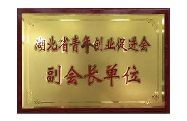 2014.07-湖北省青年创业促进会副会长单位